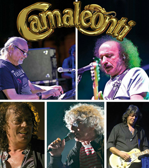 camaleontiweb